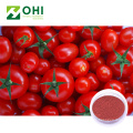 Tomato Fruit Juice powder